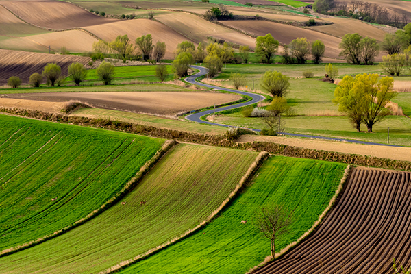 Plener Wiosenne Ponidzie